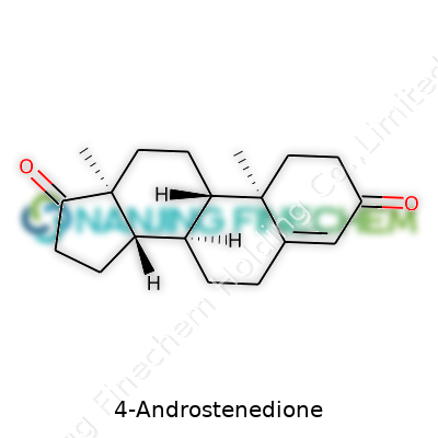 4-Androstenedione