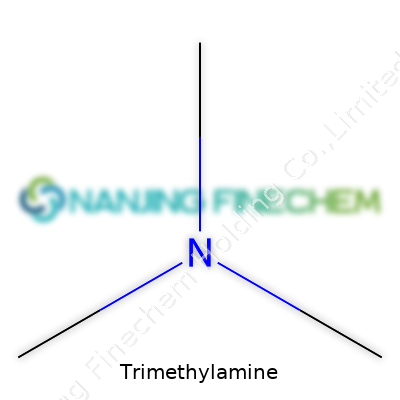 Trimethylamine
